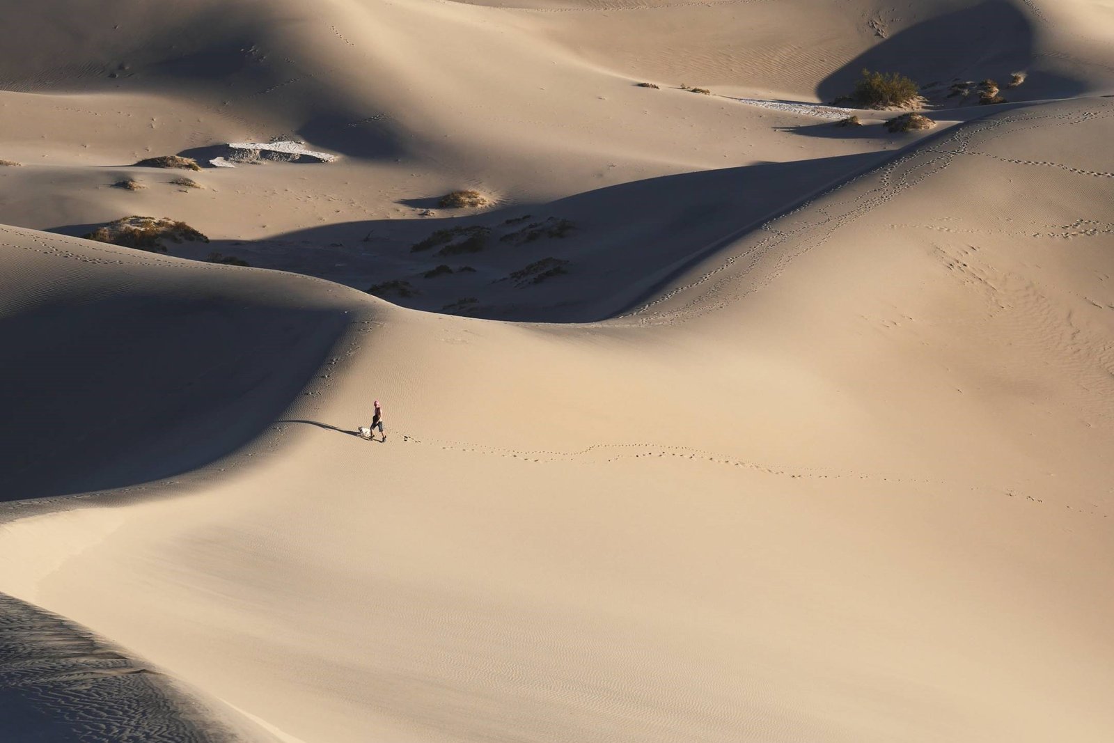 Tevhidin Işığında